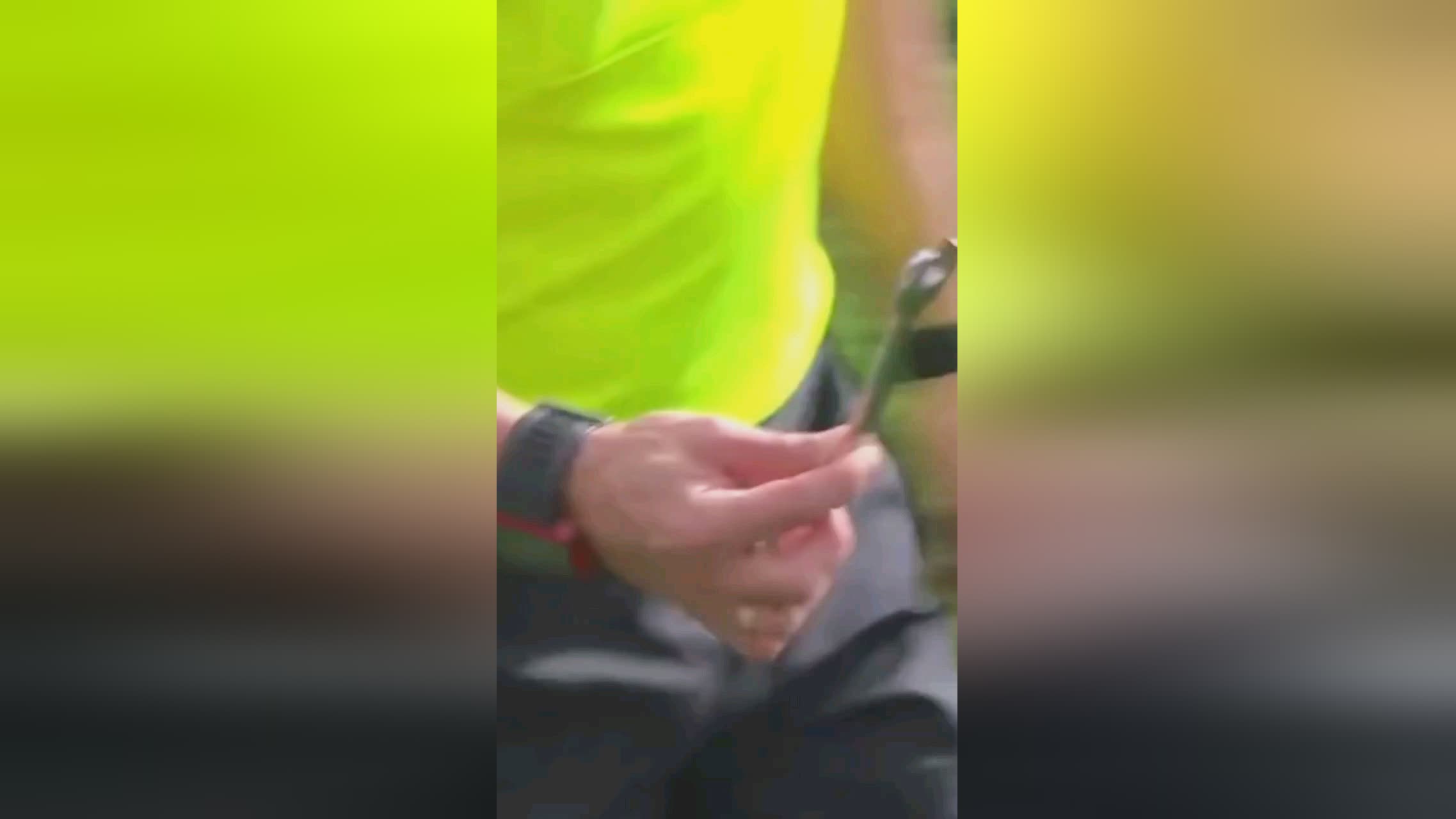 众提供